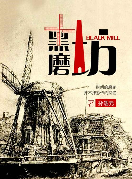 黑磨坊（一部《白夜行》式的悲剧故事！11宗离奇案件，全景式刻画转型期中国光怪陆离的怪现状！）