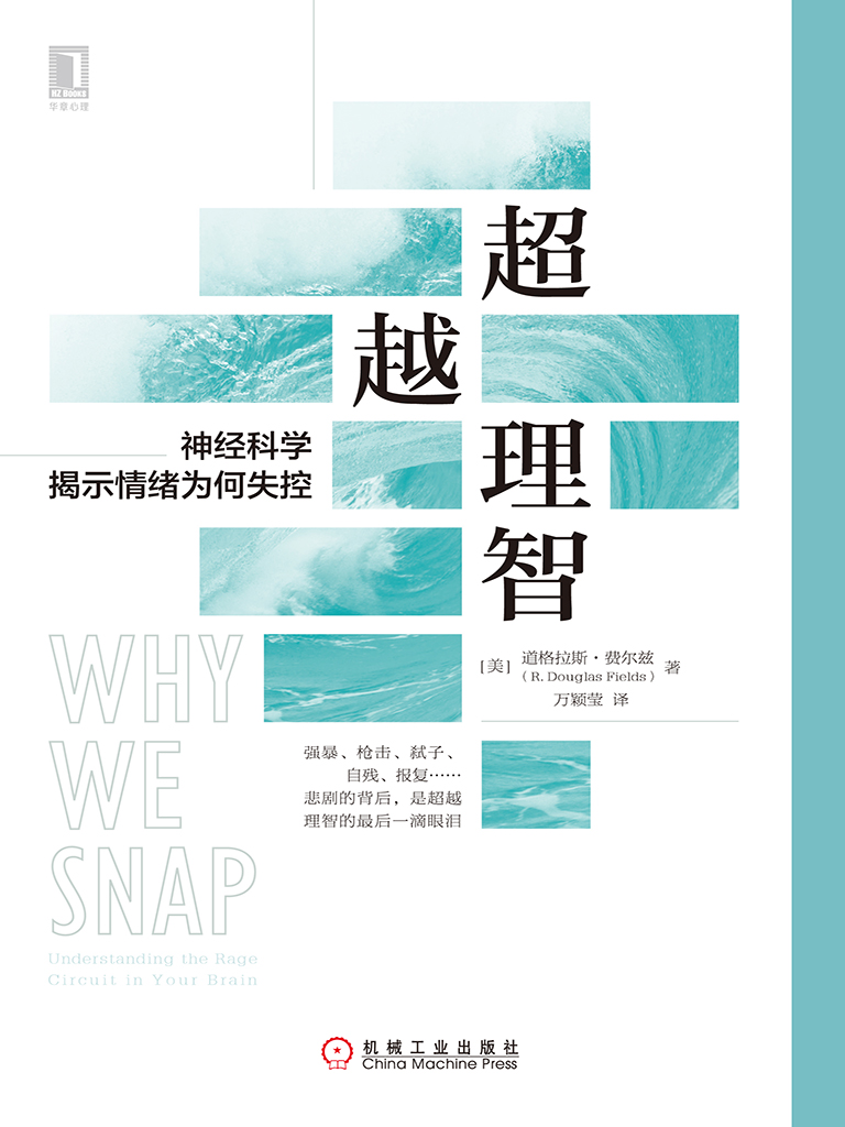 超越理智：神经科学揭示情绪为何失控