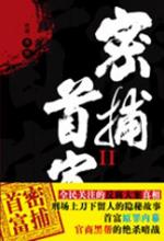 密捕首富2