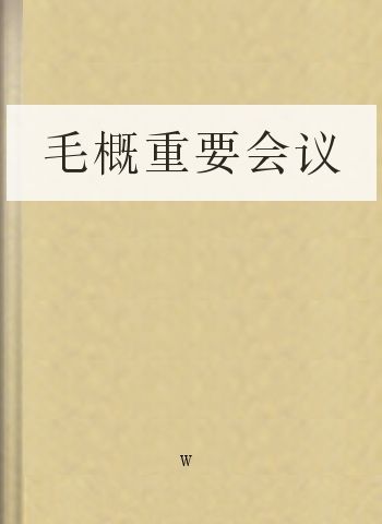 毛概重要会议