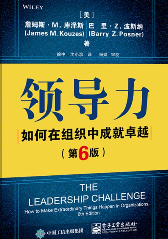 领导力：如何在组织中成就卓越：第6版