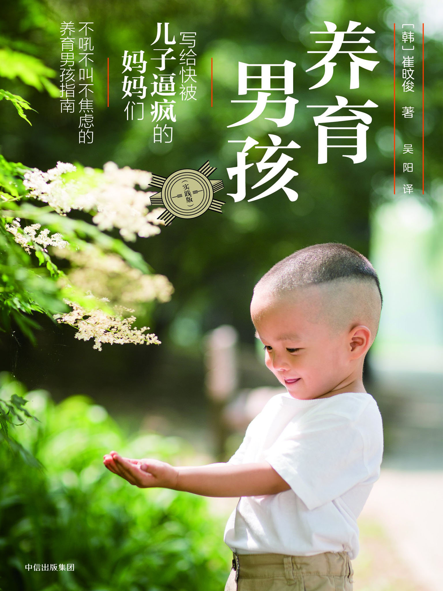 养育男孩：实践版
