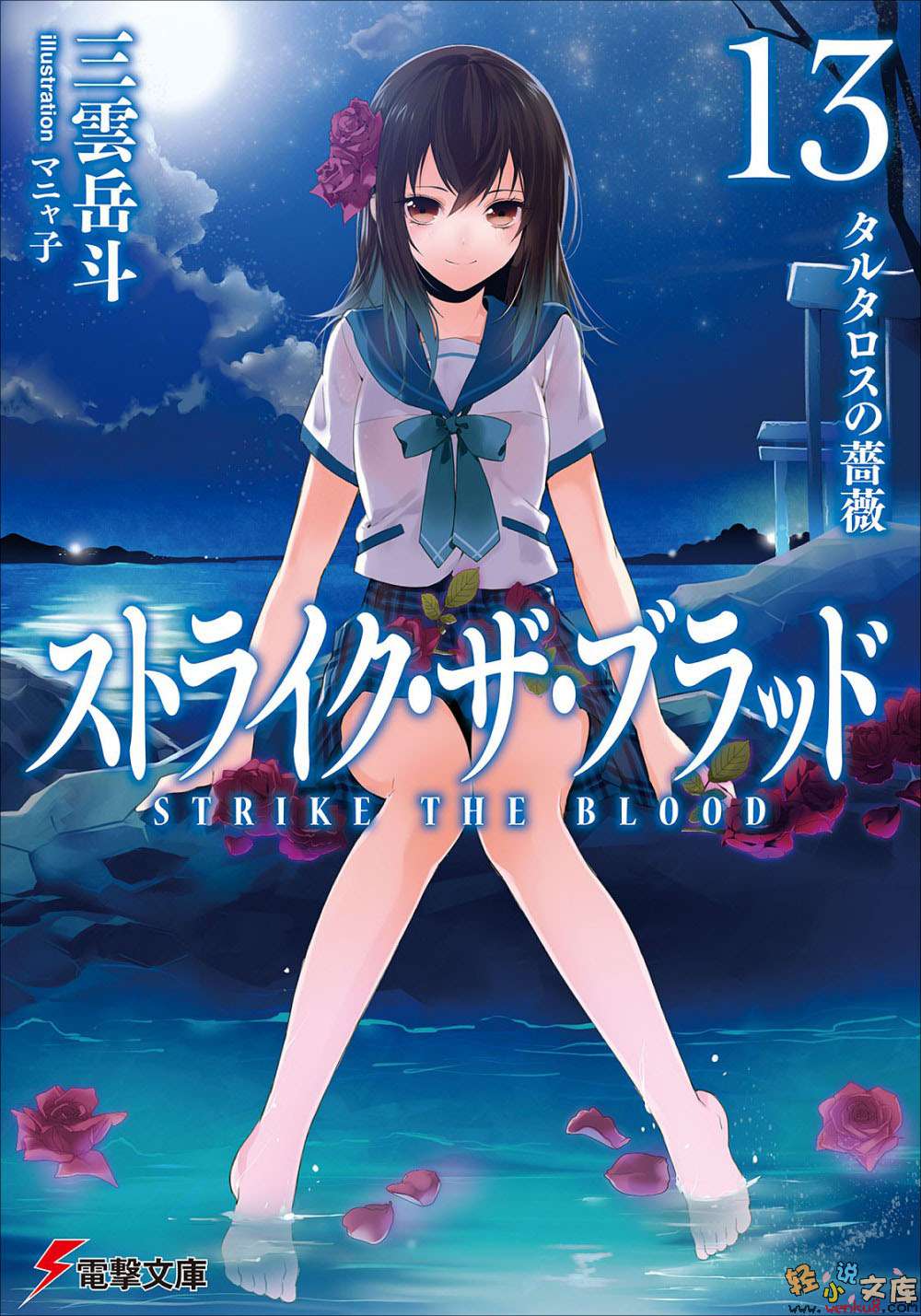 噬血狂袭 strike the blood 第十三卷 深渊蔷薇
