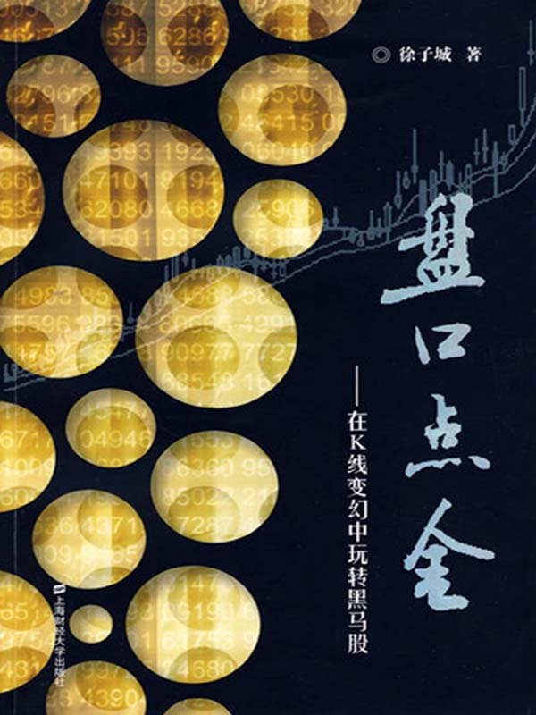 盘口点金——在K线变幻中玩转黑马股