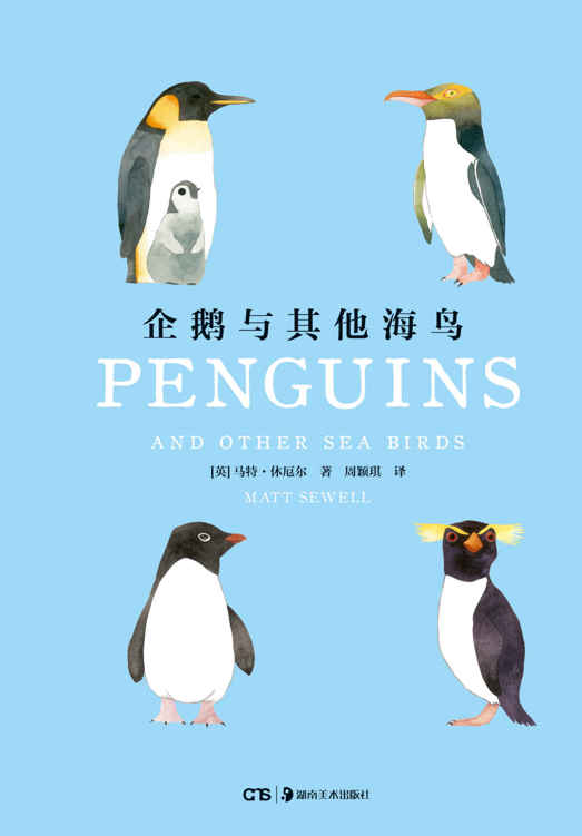 企鹅与其他海鸟 (世界上的鸟儿)