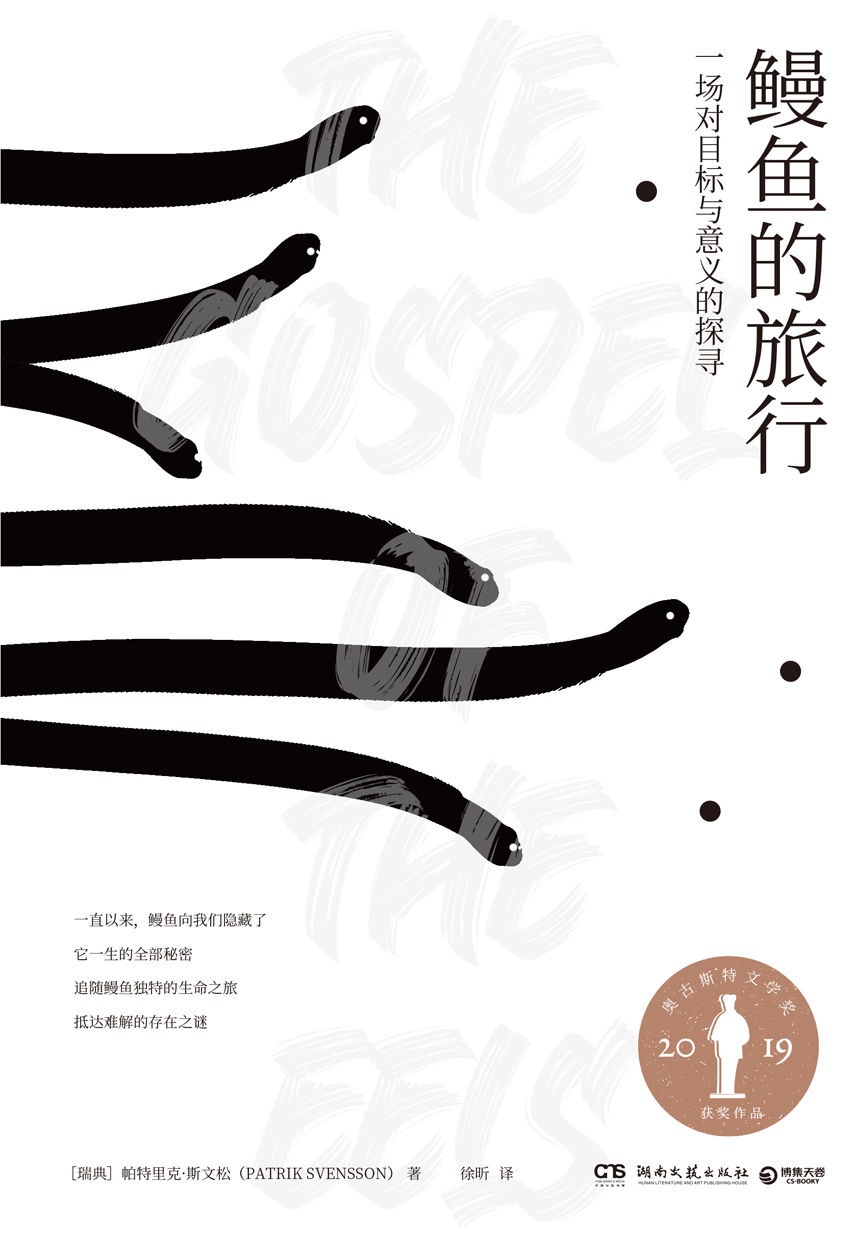 鳗鱼的旅行