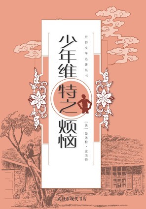 少年维特的烦恼