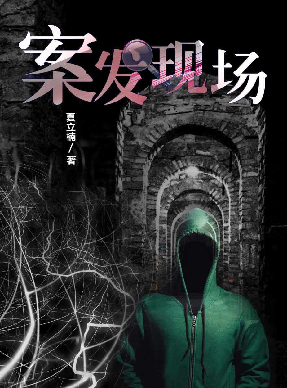 夏立楠《案发现场》合集