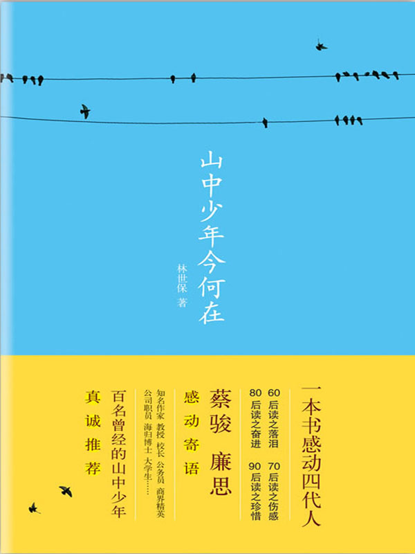 山中少年今何在