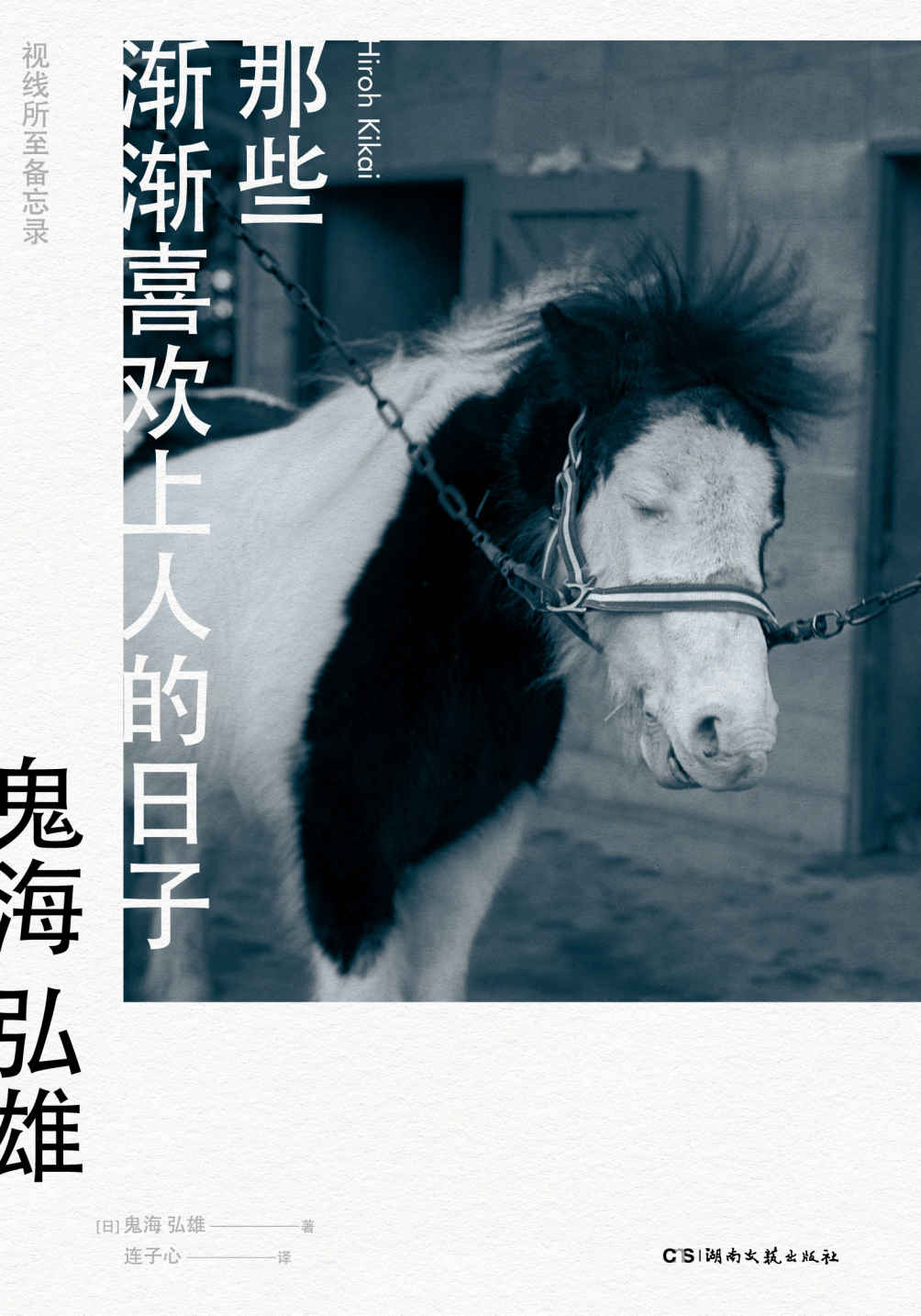 那些渐渐喜欢上人的日子：视线所至备忘录