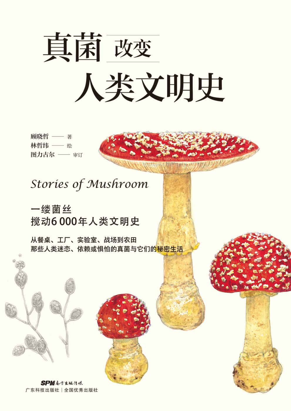 真菌改变人类文明史（一株菌丝，搅动6000年人类文明史！跨学科、多角度，揭秘古老又神秘的物种征服世界的全历程！）