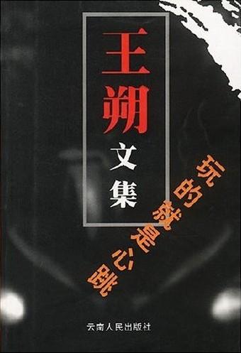 王朔文集