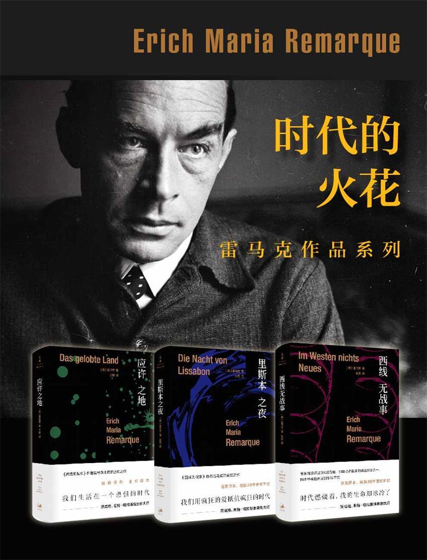 时代的火花：雷马克作品系列