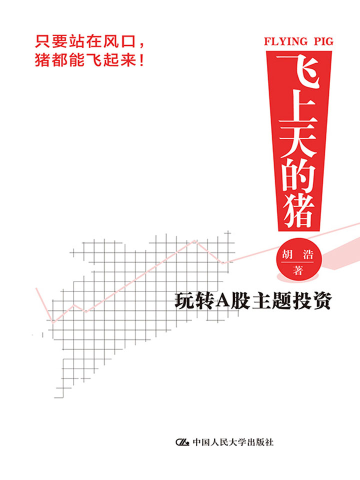 飞上天的猪：玩转A股主题投资