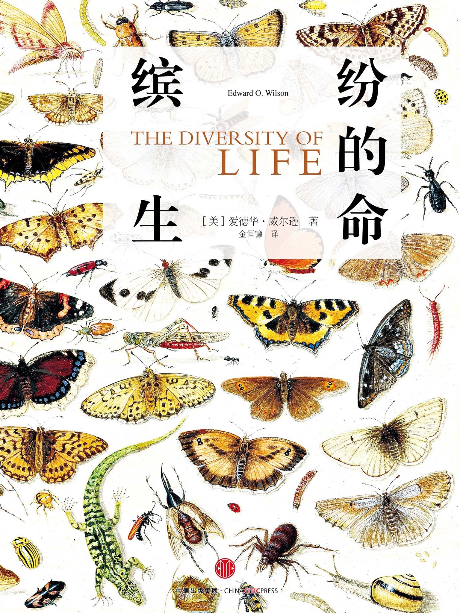 缤纷的生命