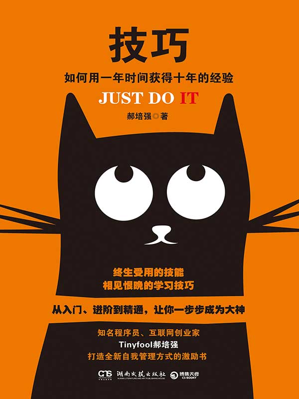 技巧：如何用一年时间获得十年的经验（终生受用的技能，相见恨晚的学习技巧，从入门、进阶到精通，让你一步步成为大神。）
