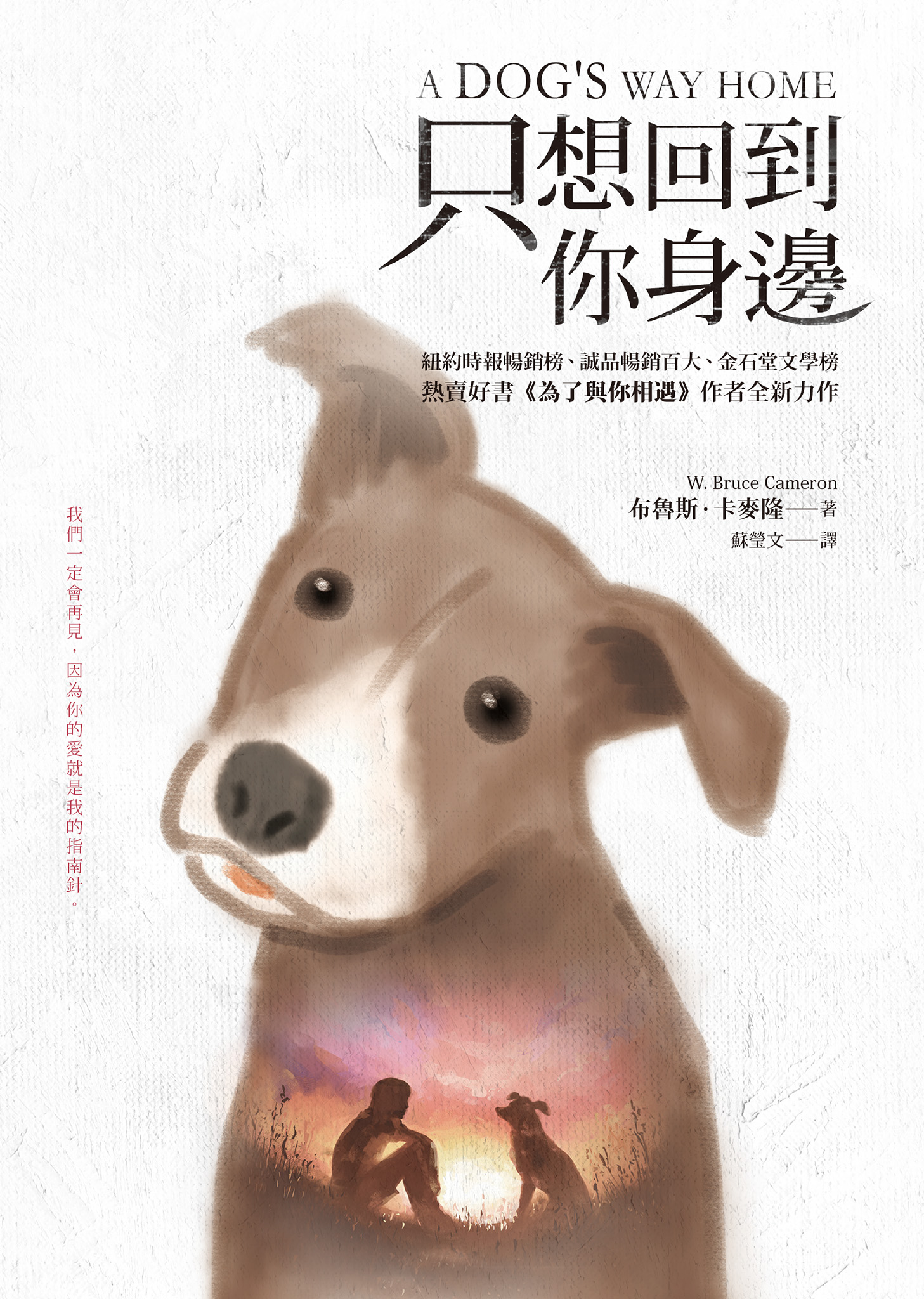 只想回到你身邊