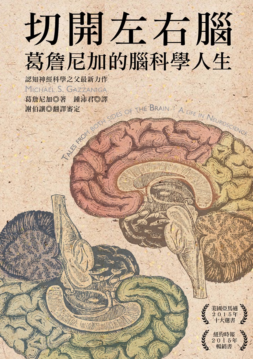 切開左右腦：葛詹尼加的腦科學人生