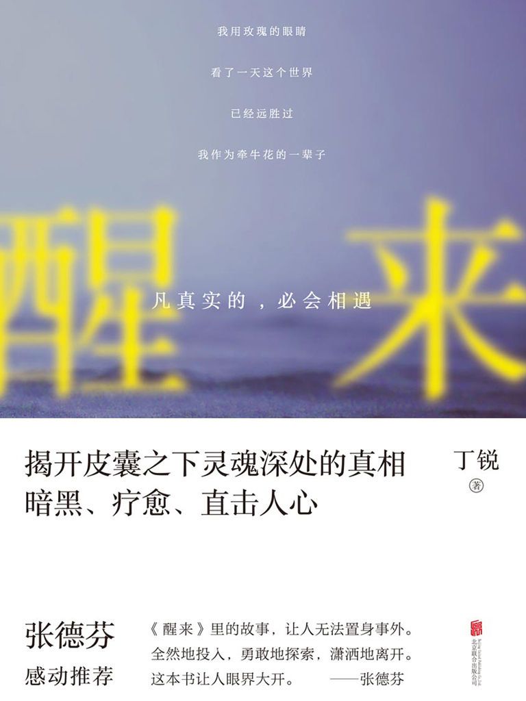 醒来：凡真实的，必会相遇