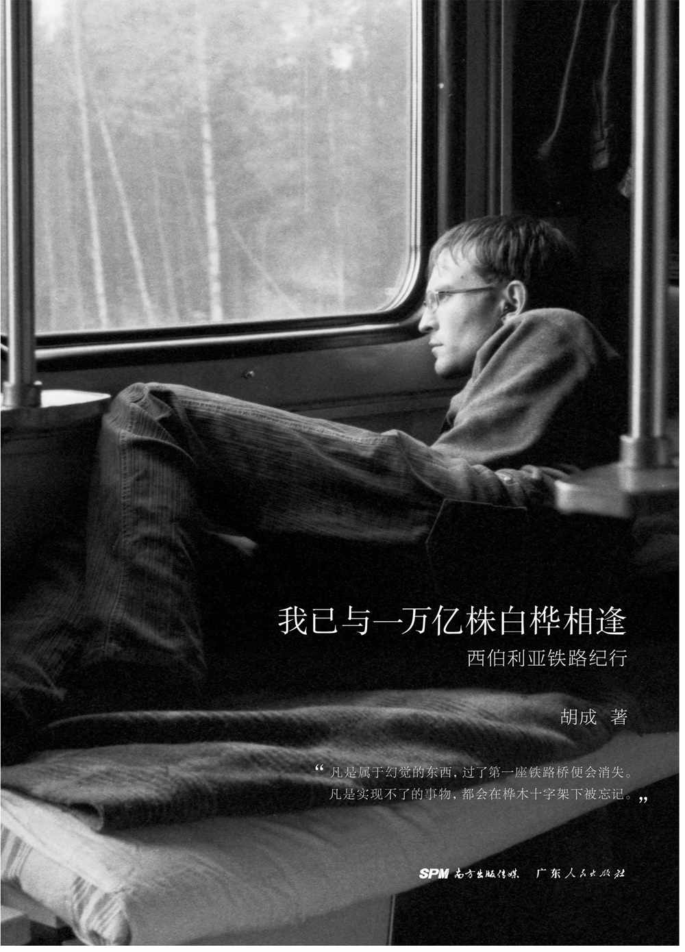 我已与一万亿株白桦相逢