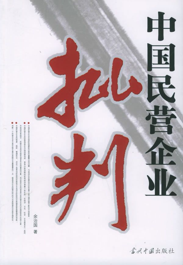 中国民营企业批判