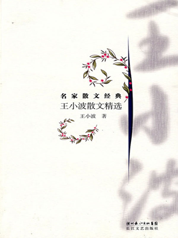 王小波散文精选