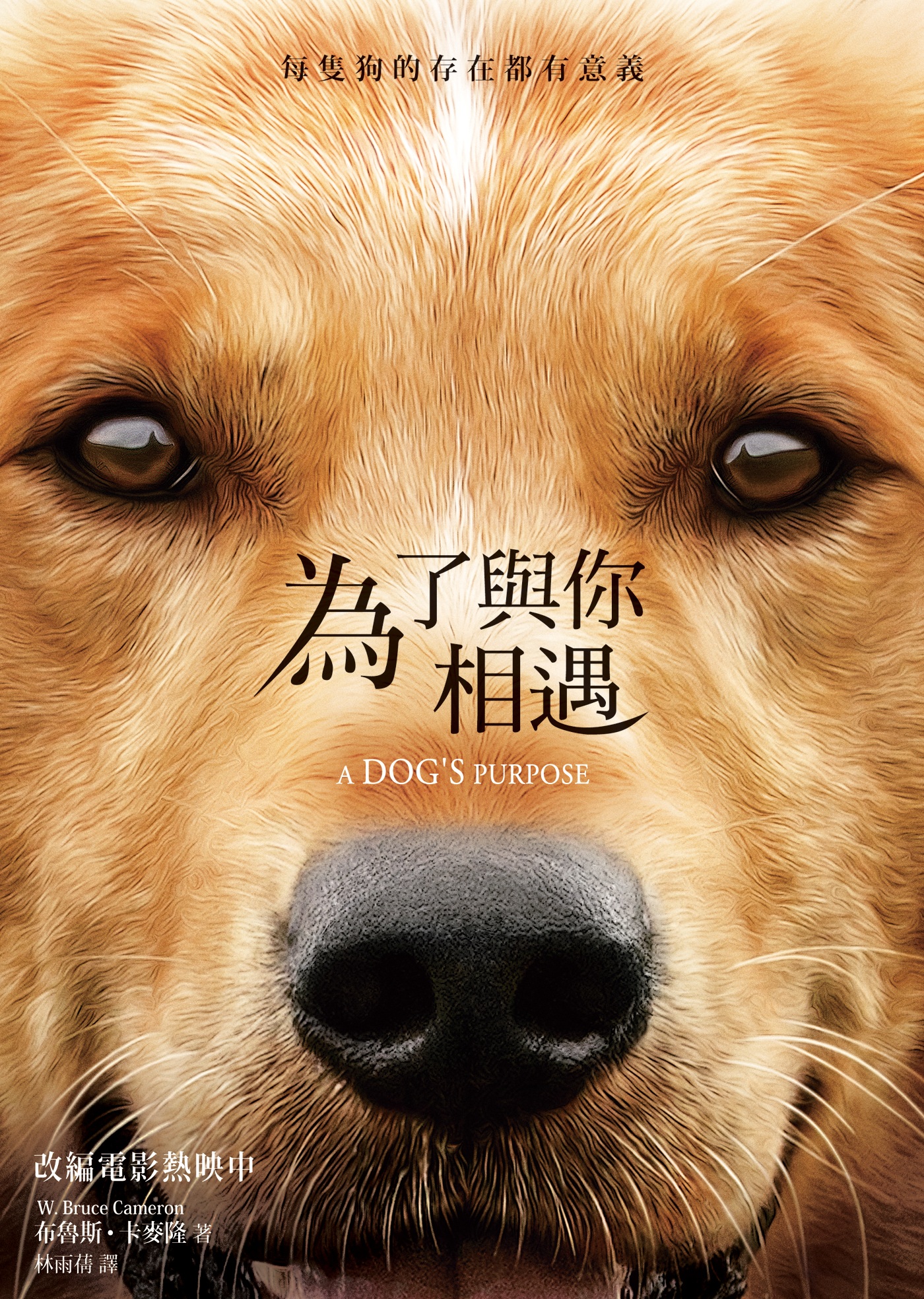 為了與你相遇