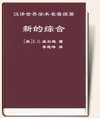 新的综合