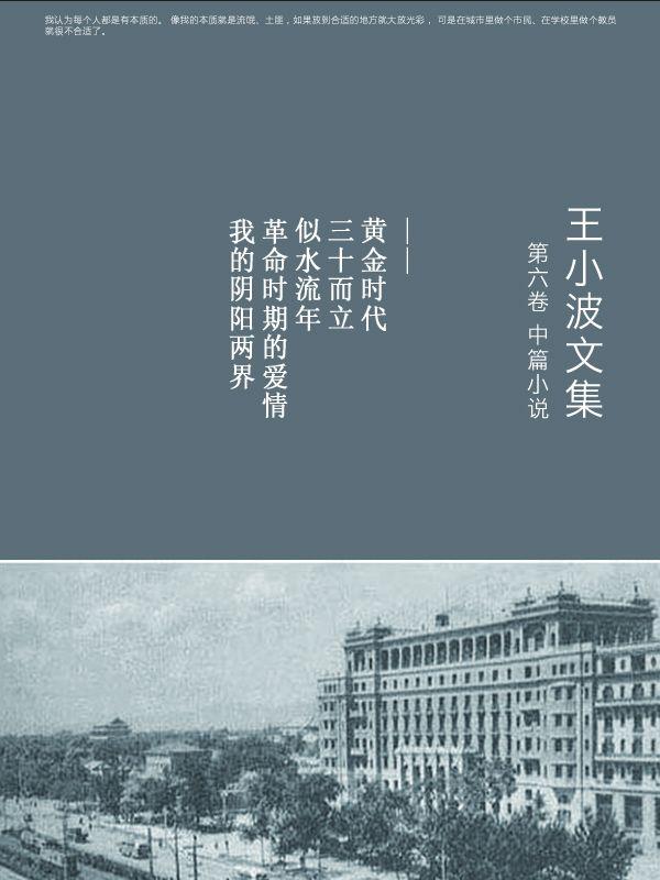王小波全集.第六卷
