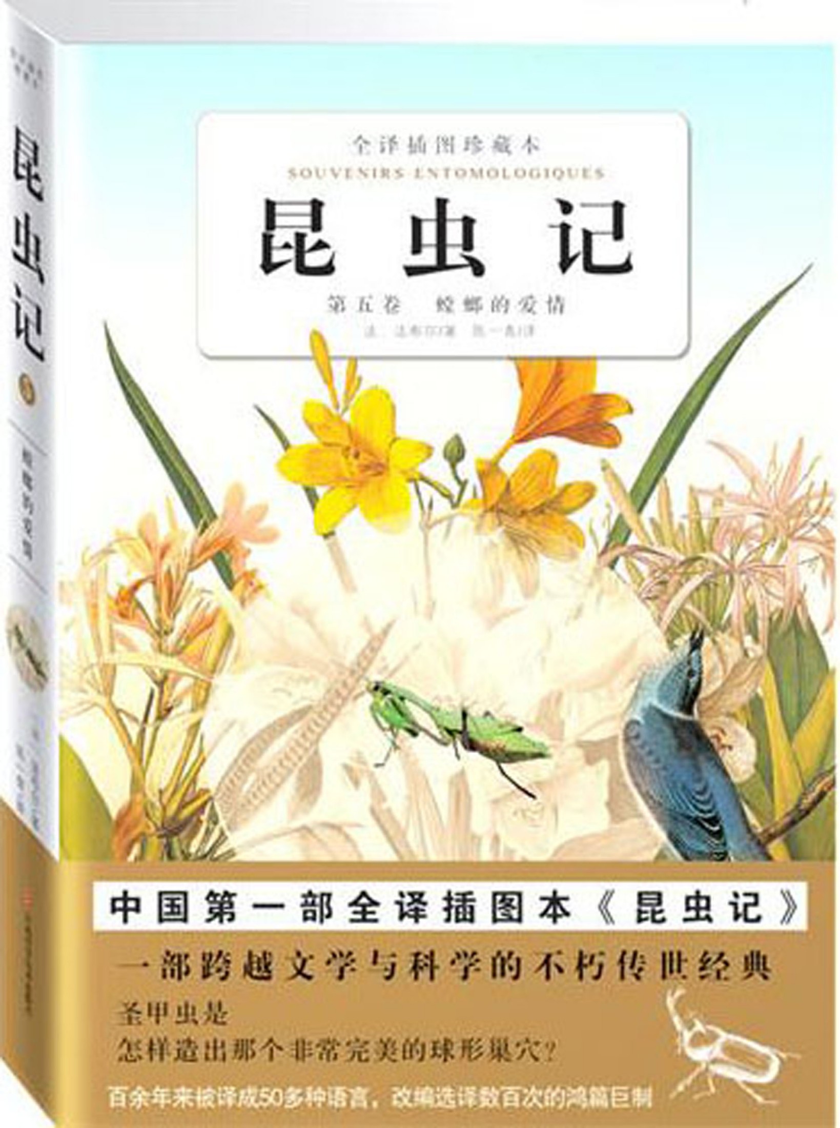 昆虫记卷5