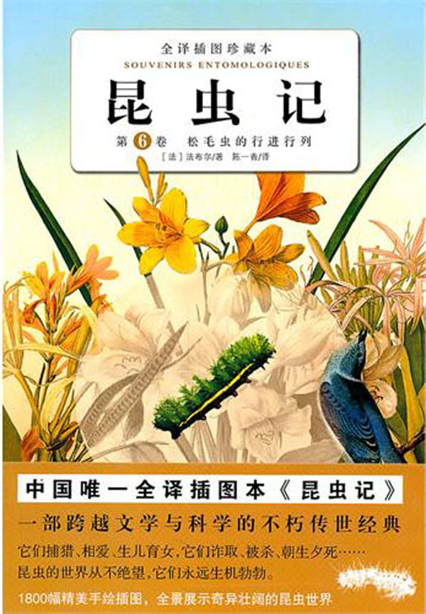 昆虫记卷6