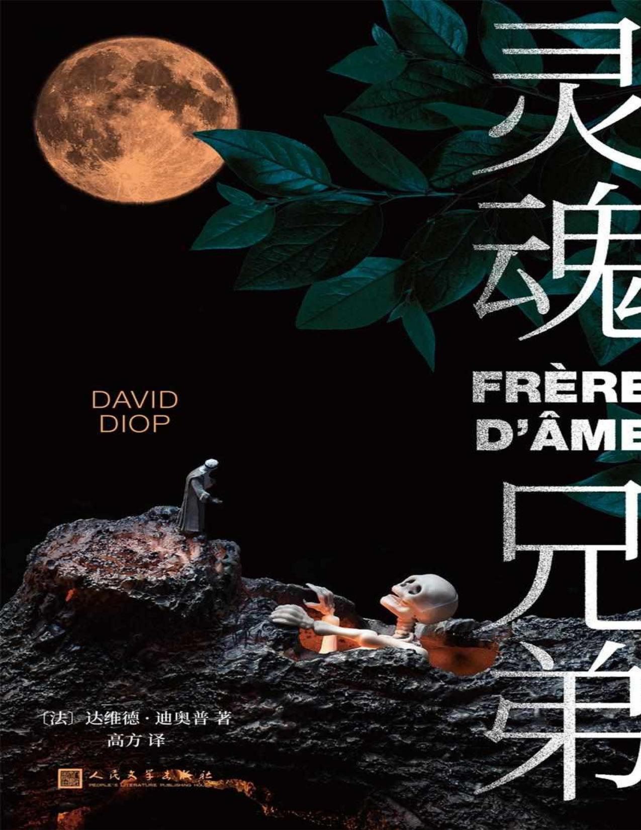 灵魂兄弟（首届龚古尔“中国之选”小说，诺奖得主勒克莱齐奥推荐。）