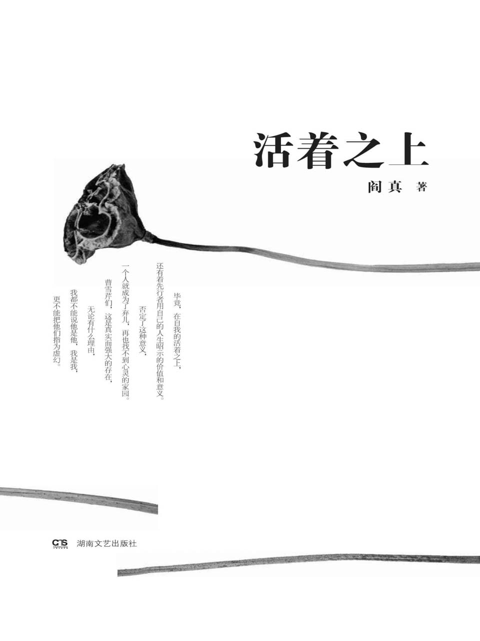 活着之上 (大风原创长篇小说丛书)