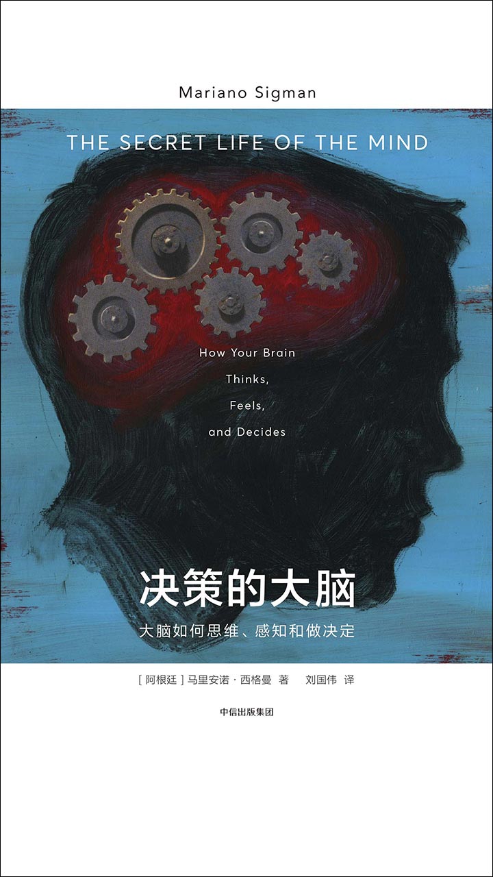 决策的大脑