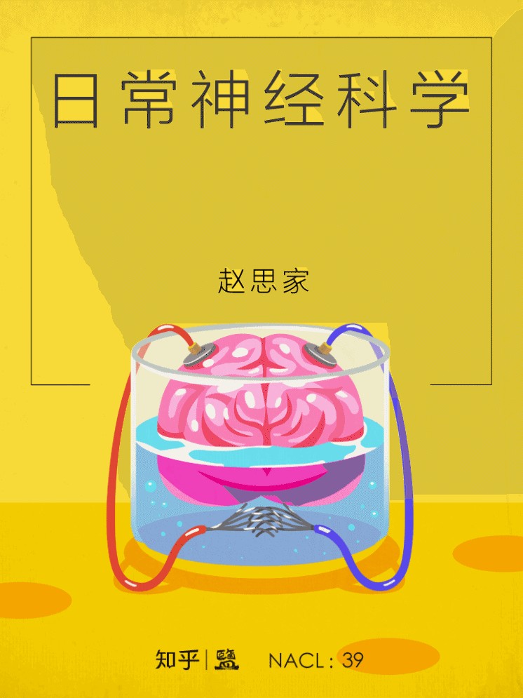 日常神经科学：知乎赵思家自选集（采铜作序推荐，让你神经舒展的「神经书」） (知乎「盐」系列)