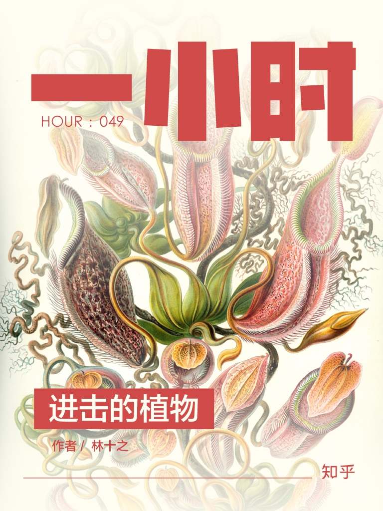 进击的植物 (知乎「一小时」系列)