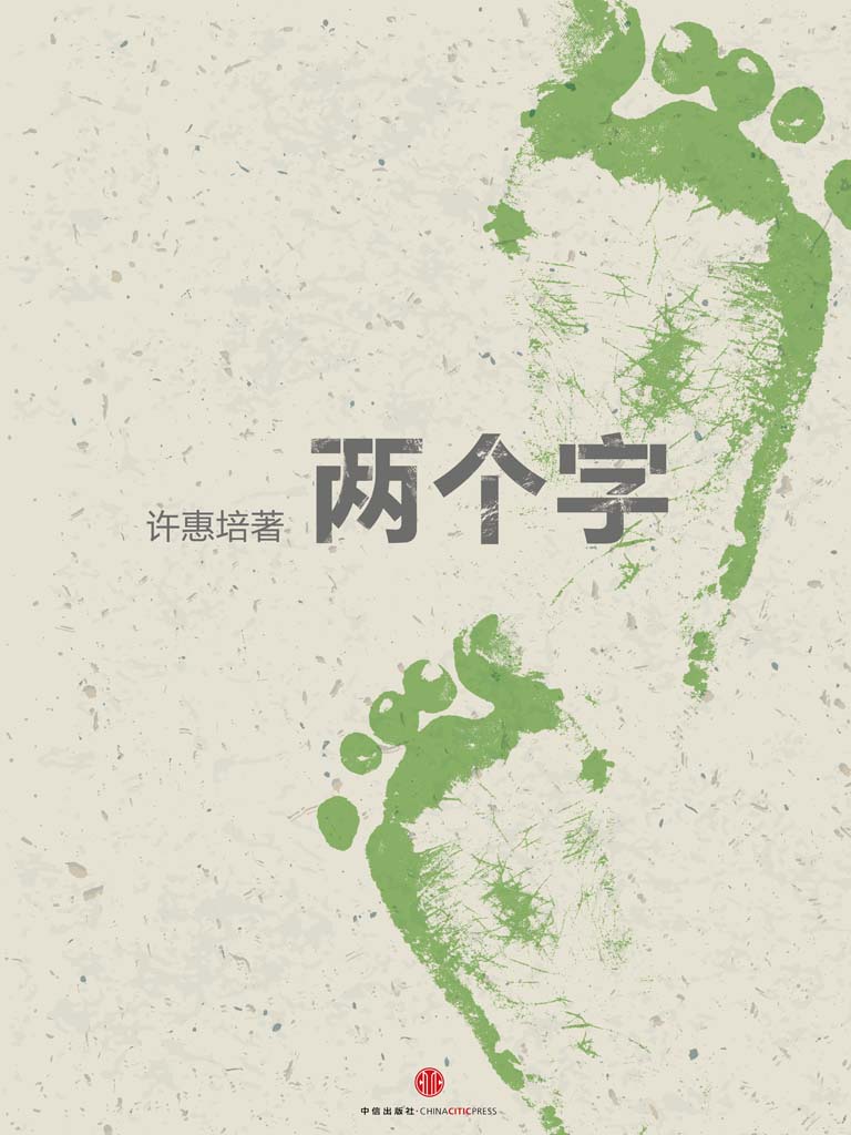 两个字（上）（个人一生的命运在不同时刻都被“两个字”所左右） (中国故事)