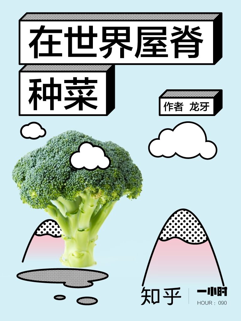 在世界屋脊种菜：知乎龙牙作品 (知乎「一小时」系列)