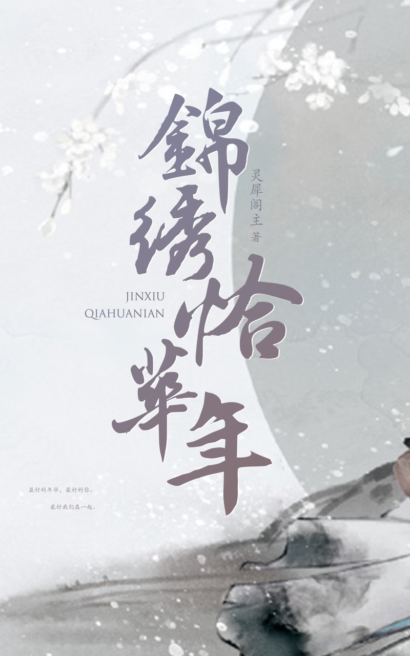 恰锦绣华年