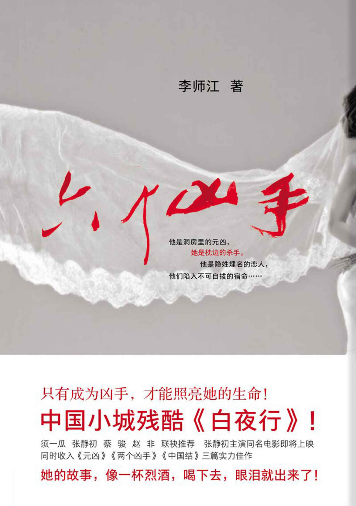 六个凶手（电影六个凶手原著）（只有成为凶手，才能照亮她的生命！中国小城残酷《白夜行》。国际影后张静初主演的同名电影原著。）