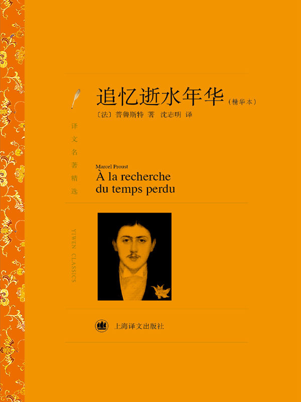 追忆逝水年华 (译文名著精选)