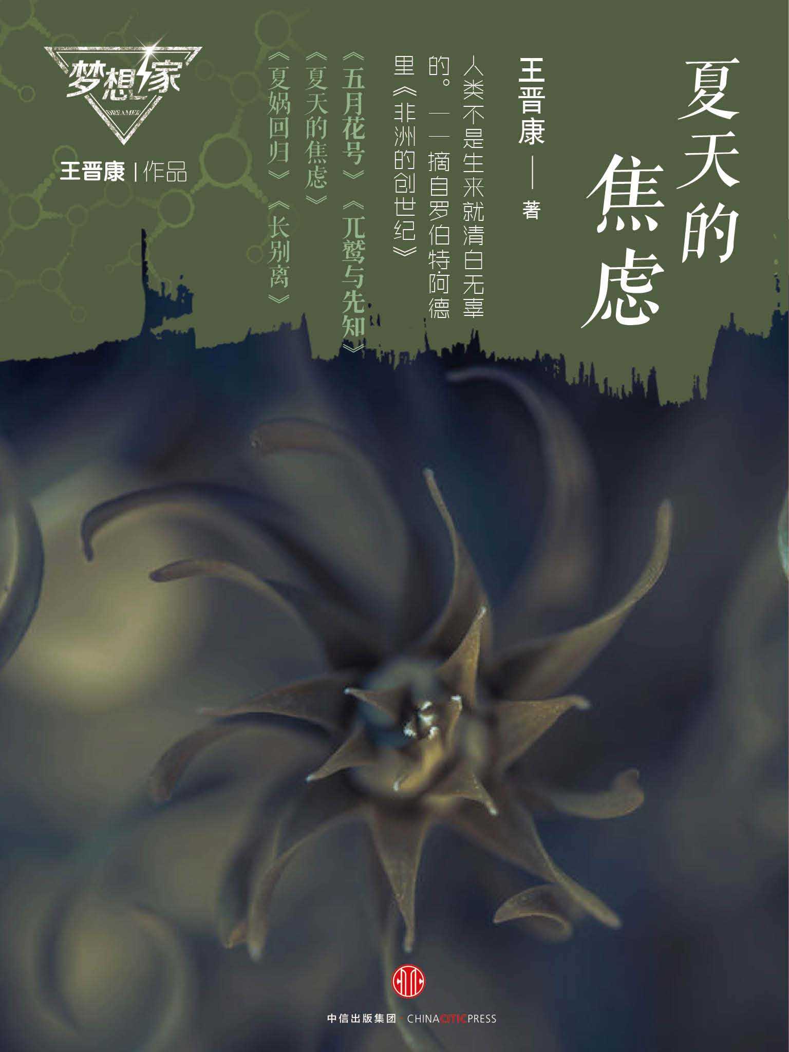 夏天的焦虑（梦想家系列，银河奖科幻作家王晋康力作） (中国科幻巨献)