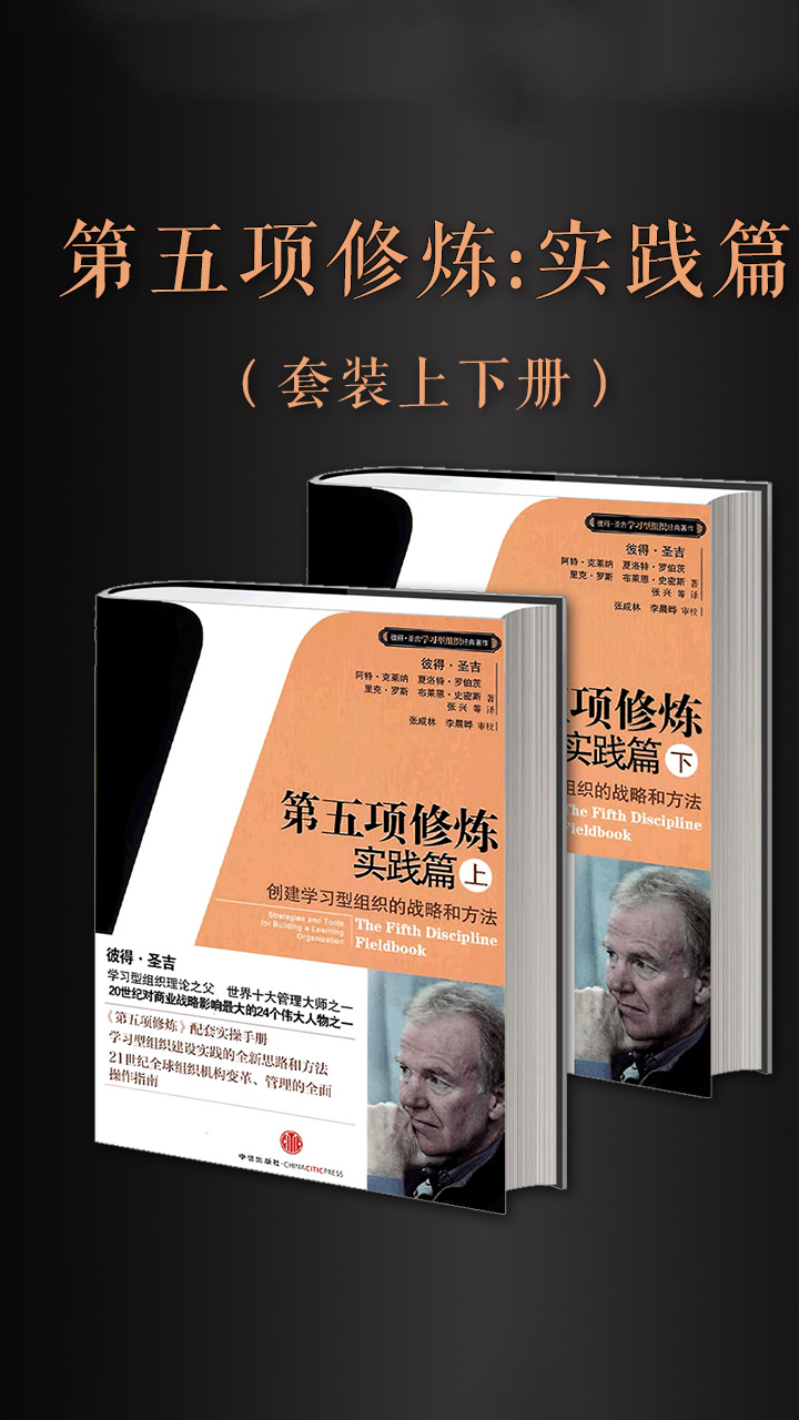 第五项修炼·实践篇（套装上下册）
