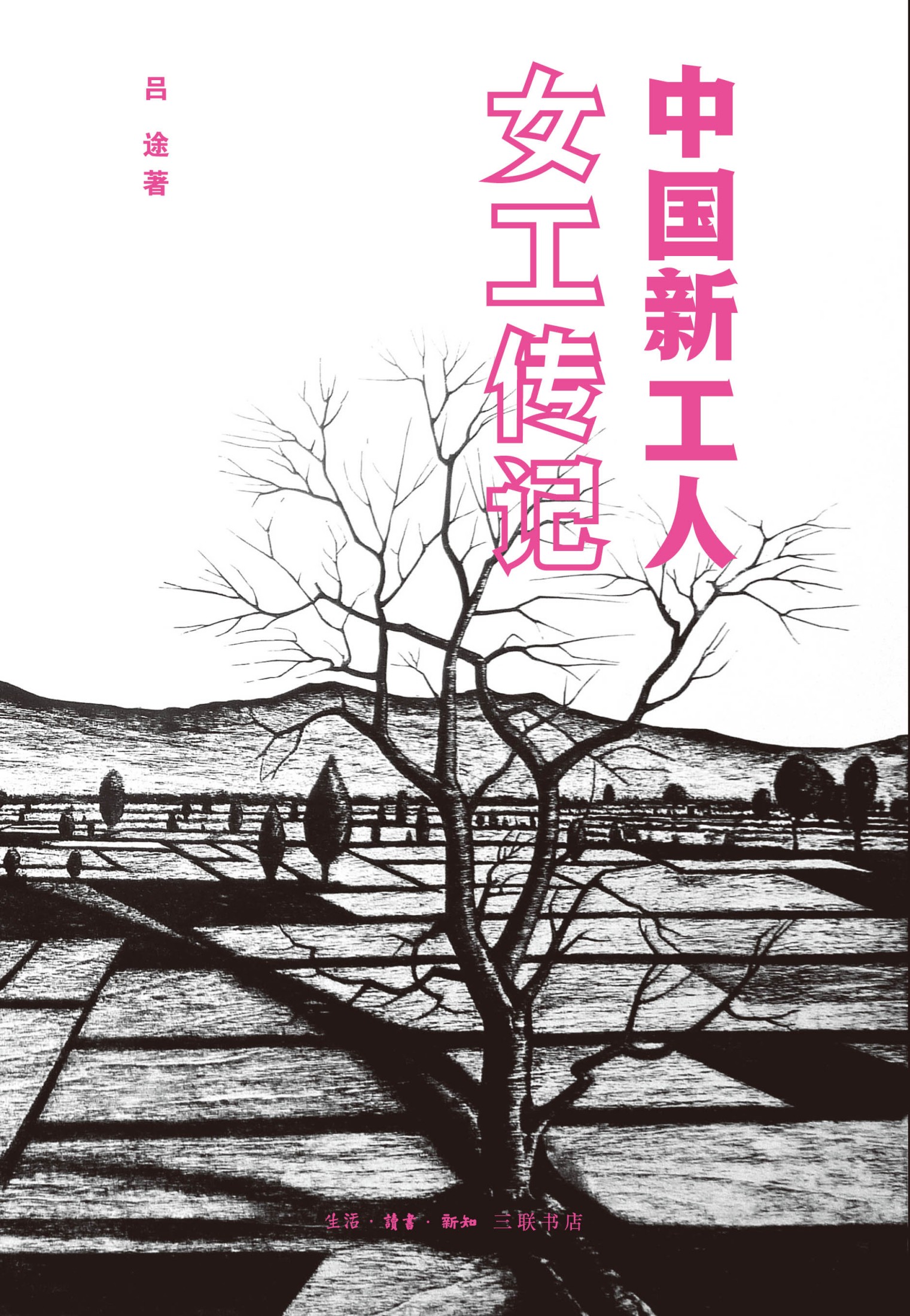 中国新工人：女工传记