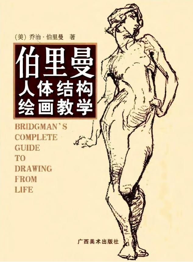 伯里曼人体结构绘画教学