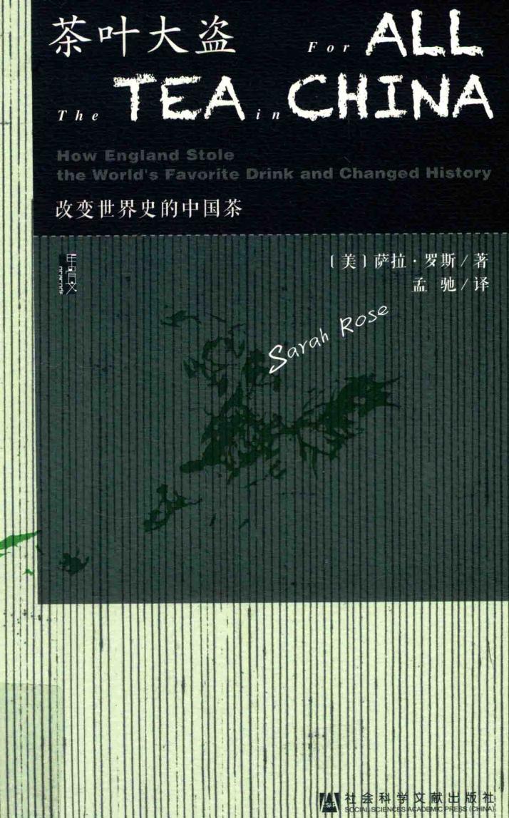 茶叶大盗