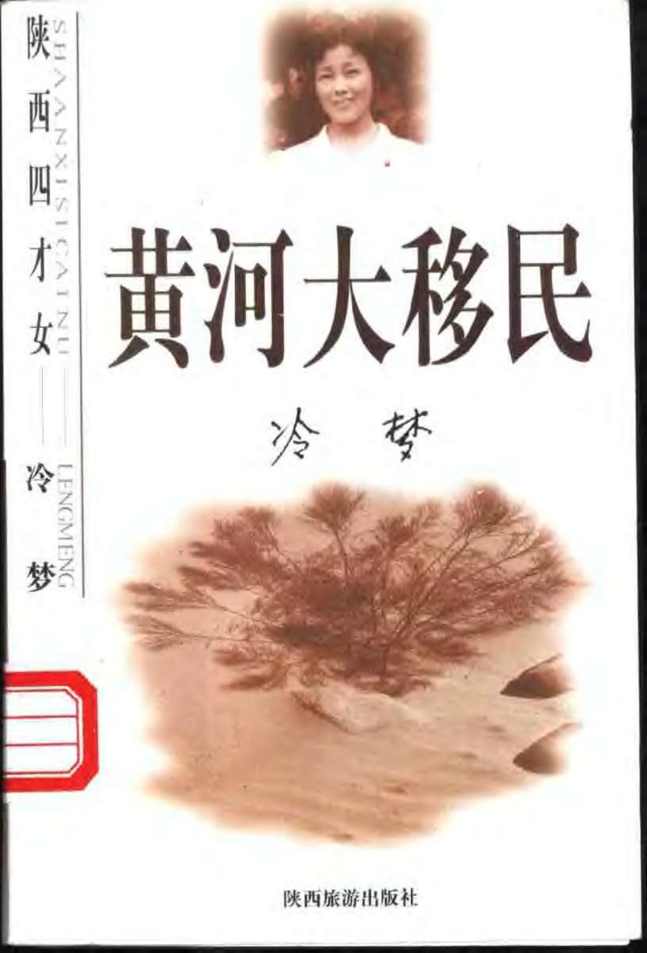 黄河大移民