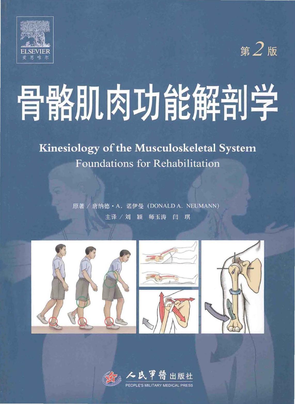 骨骼肌肉功能解剖学