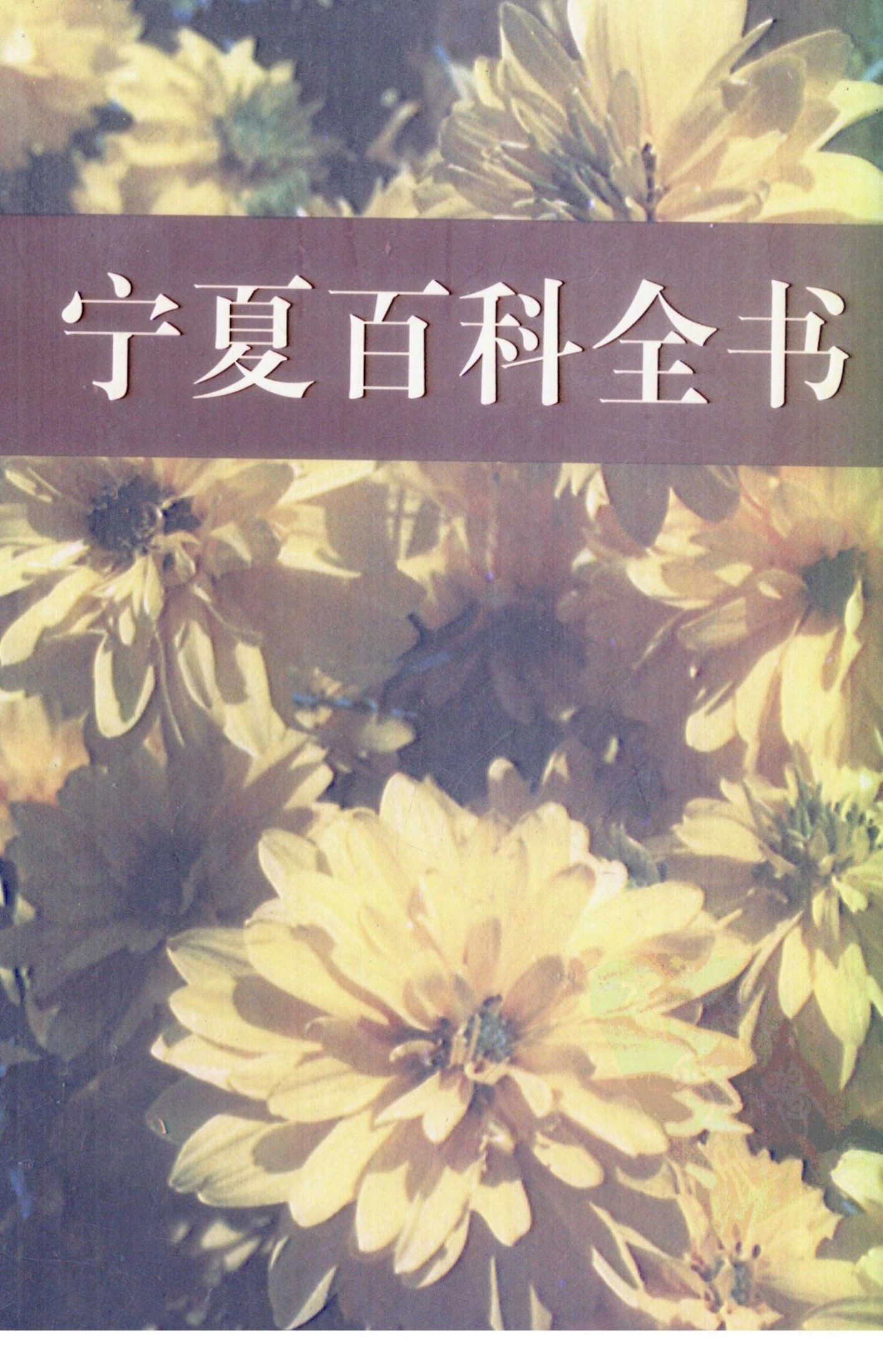 宁夏百科全书