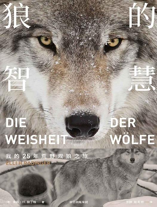 狼的智慧：我的25年荒野观狼之旅